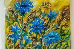 Donia-134
